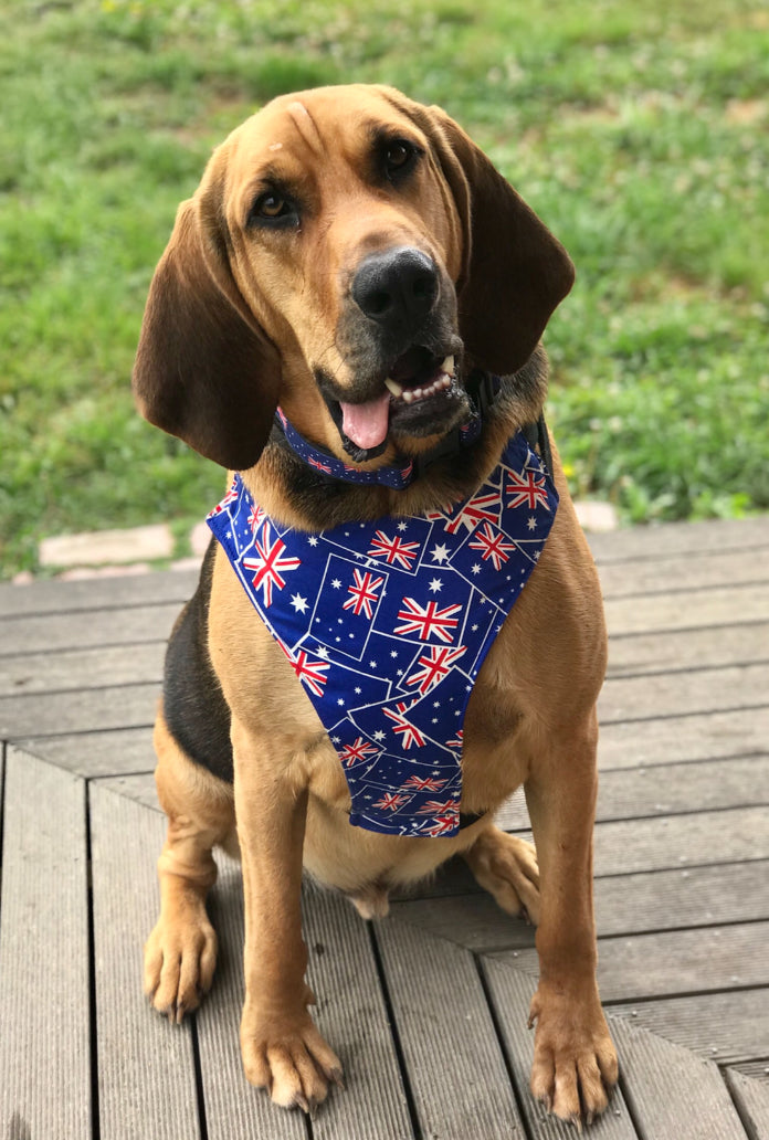 Harness Flags