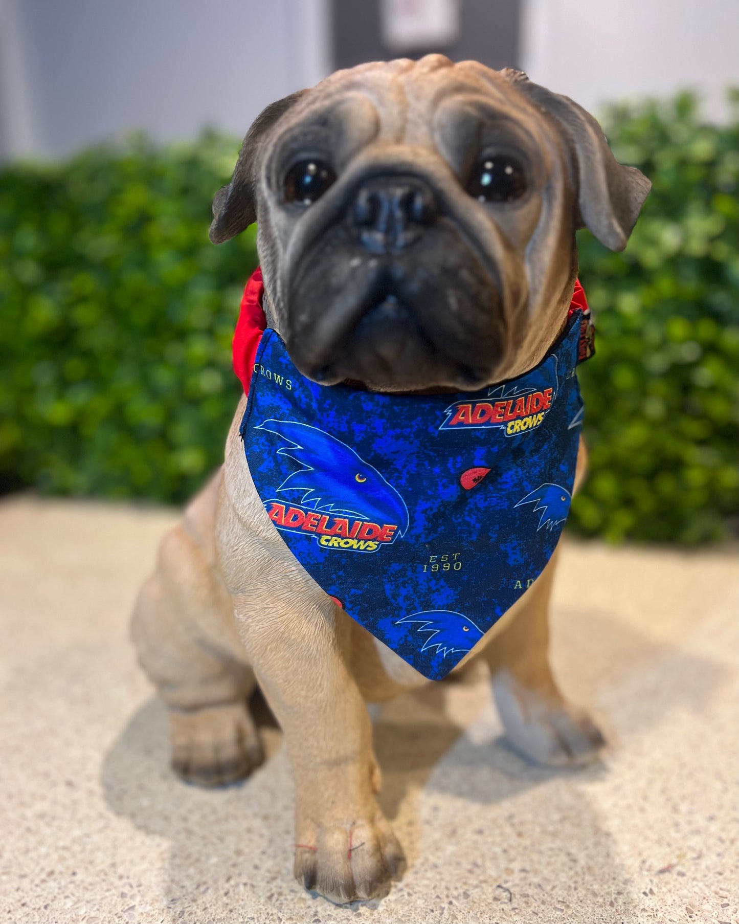 AFL Team Dog Bandanas