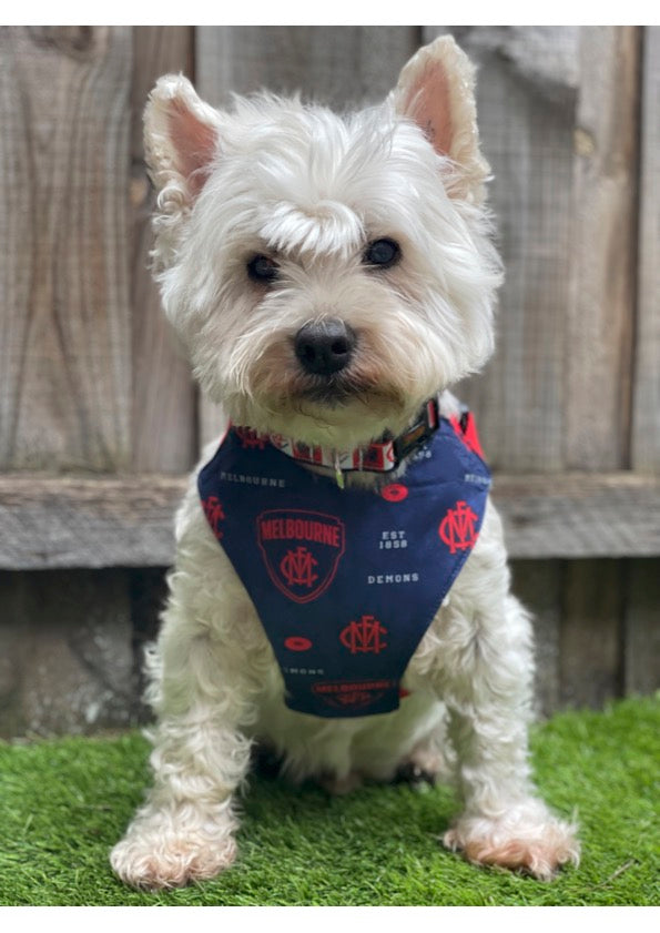 AFL Team Harnesses