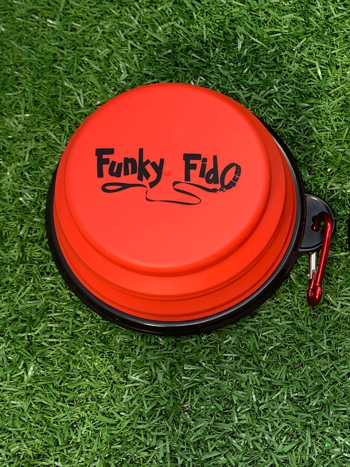 Collapsible Dog Bowl
