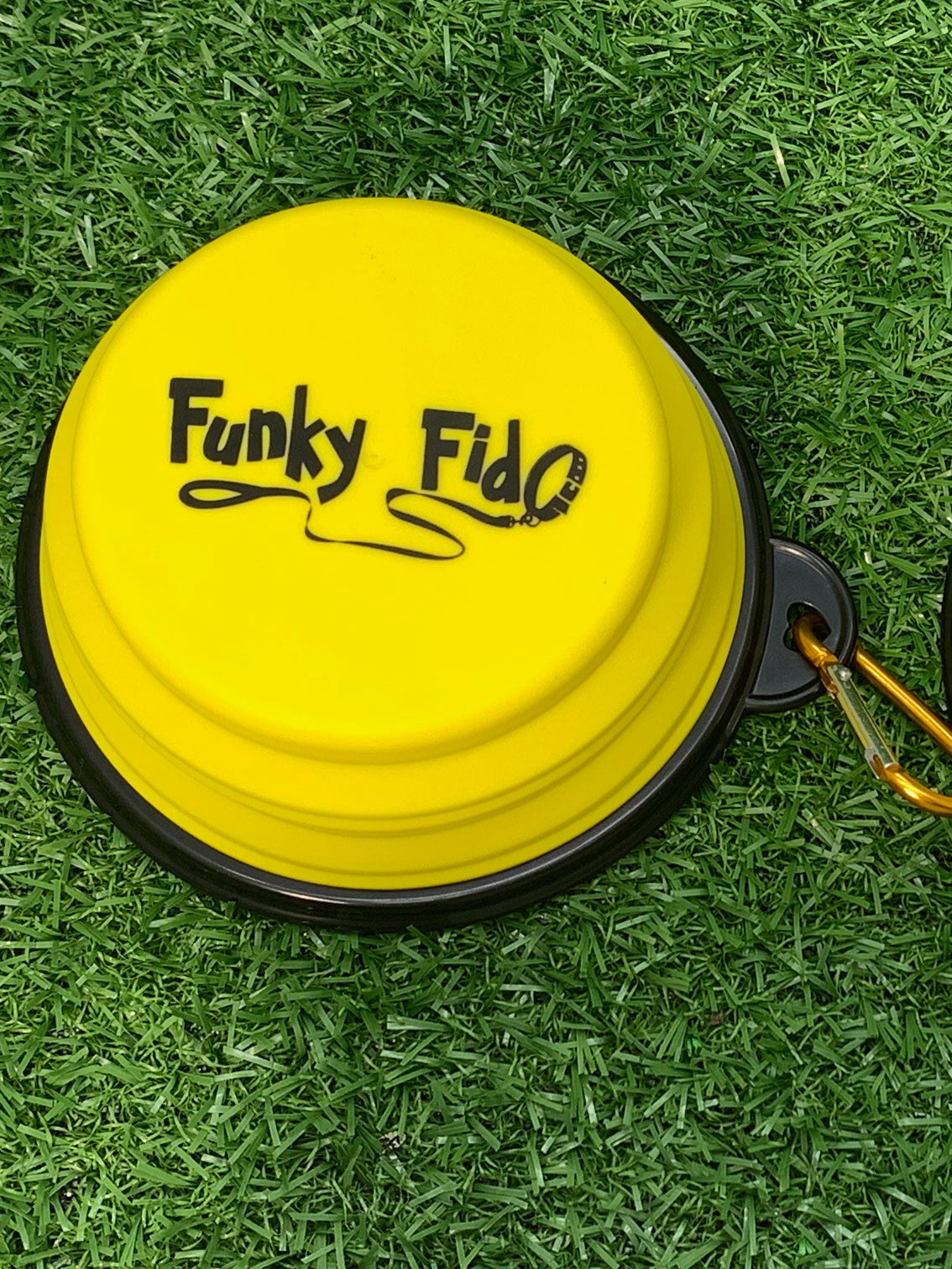 Collapsible Dog Bowl