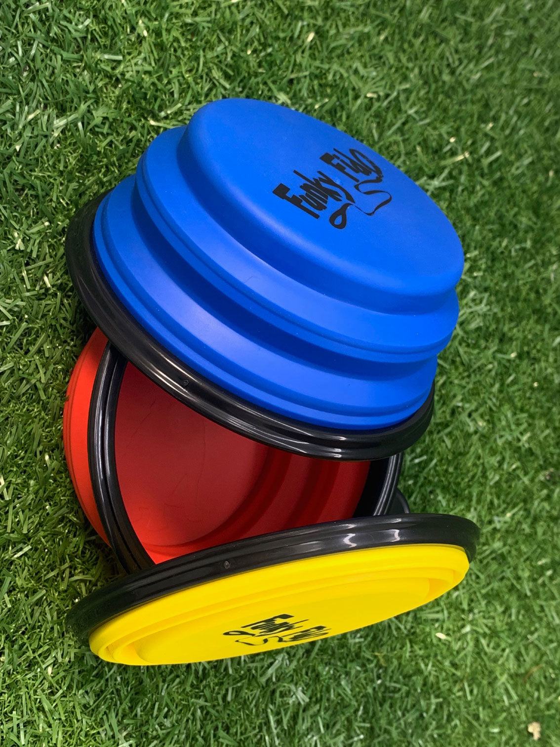 Collapsible Dog Bowl