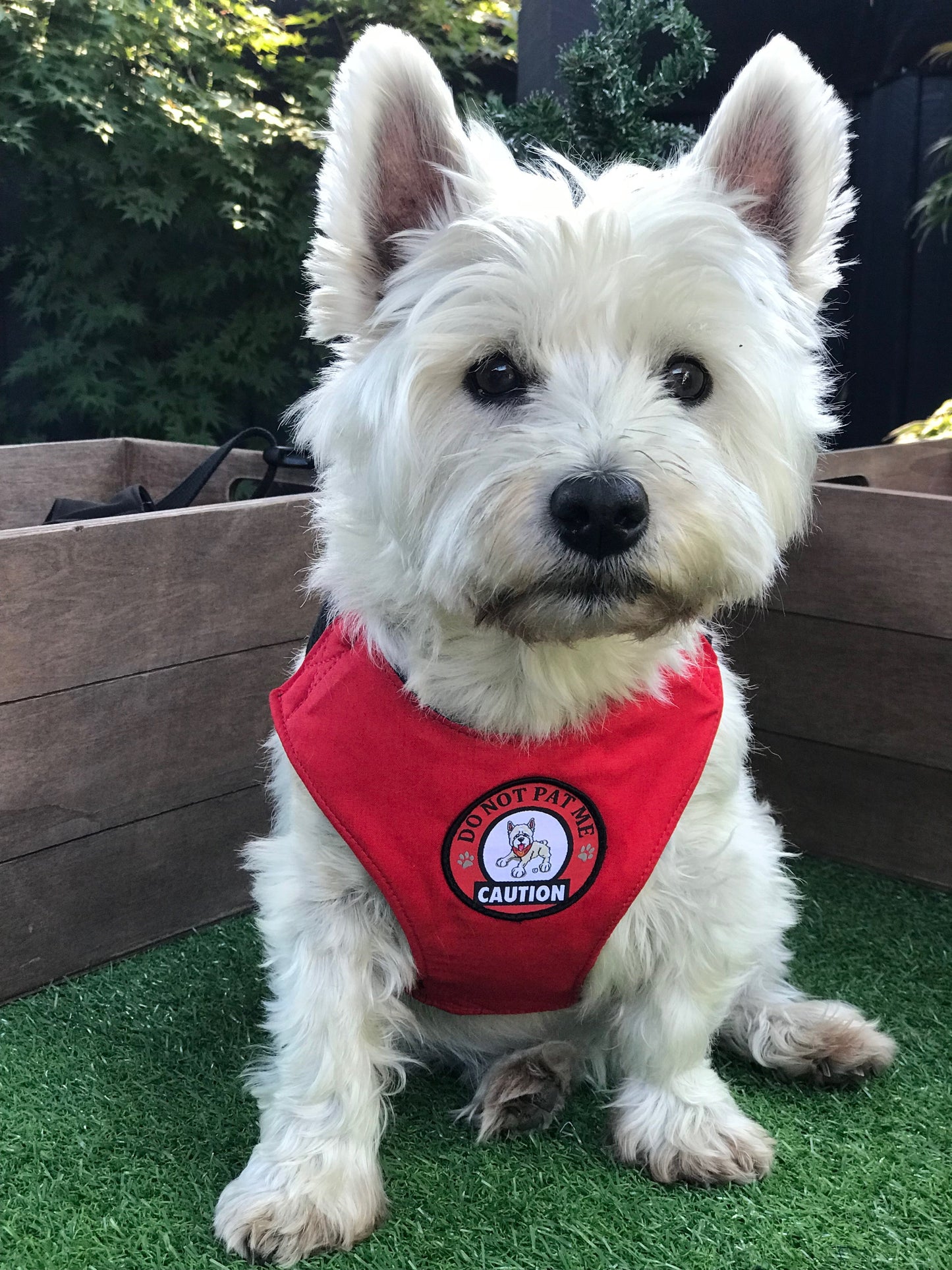 Alert Harness