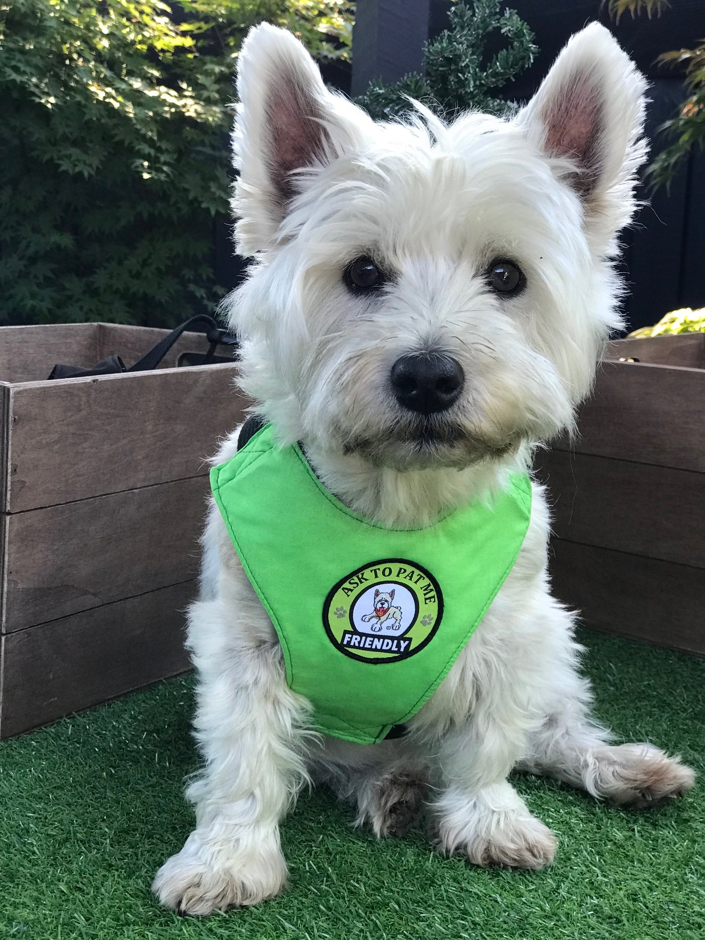 Alert Harness