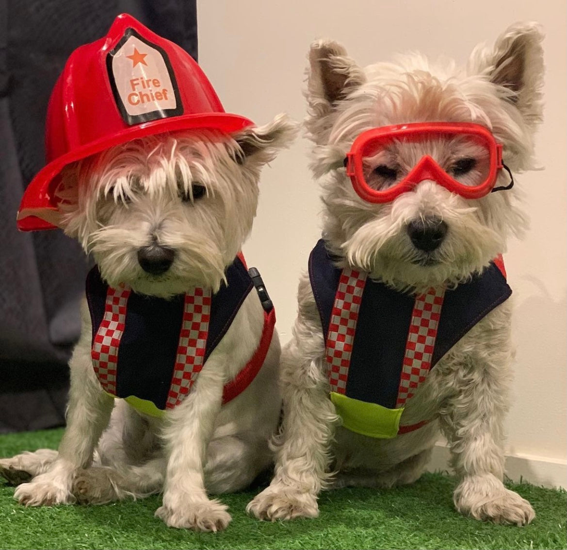 Harness Emergency Services