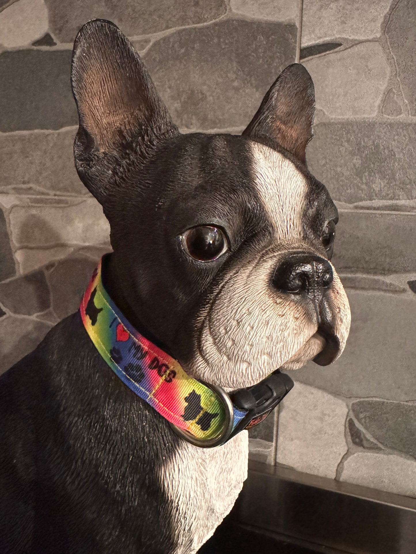 Collars Aussie