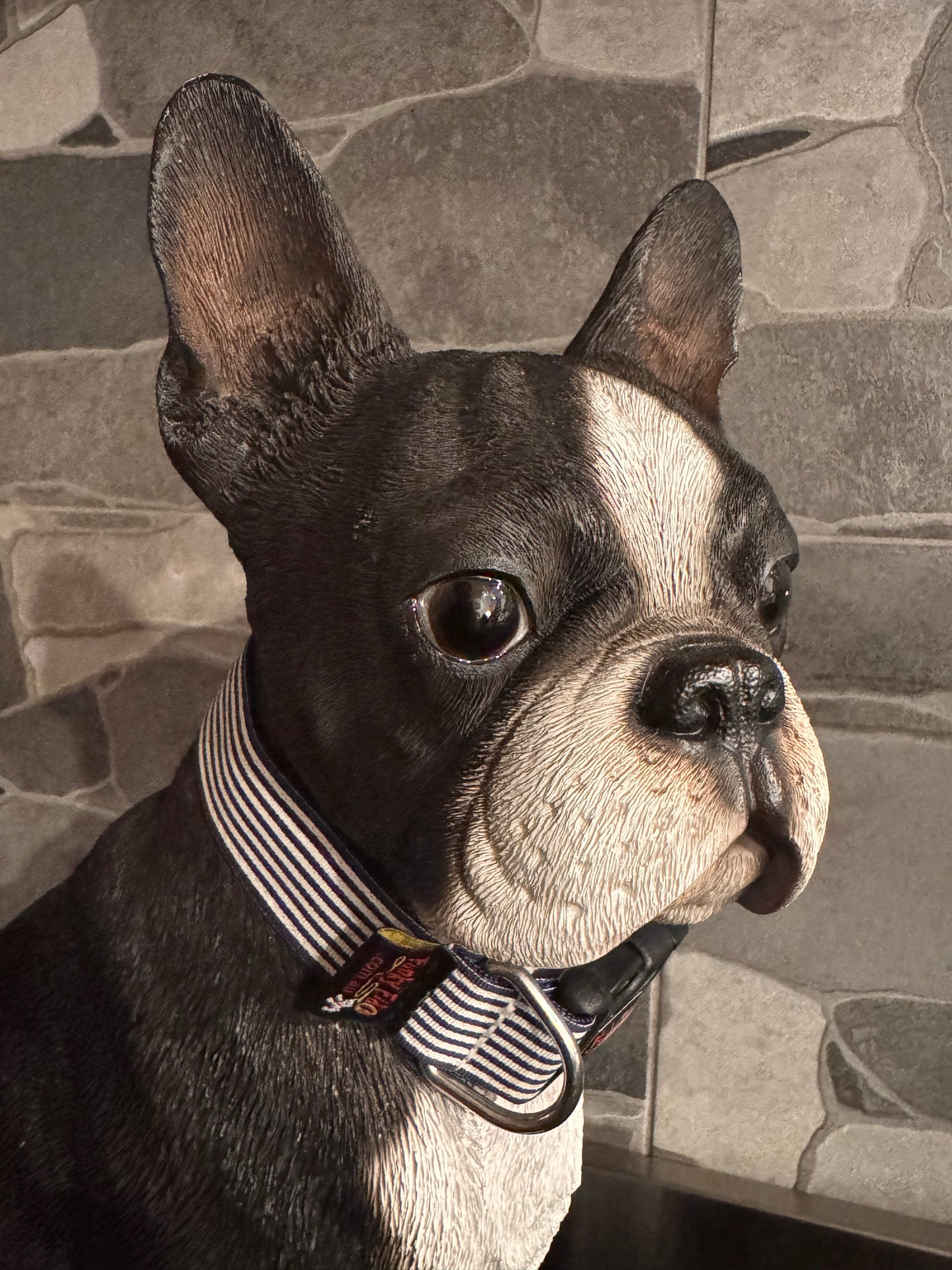 Collars Aussie