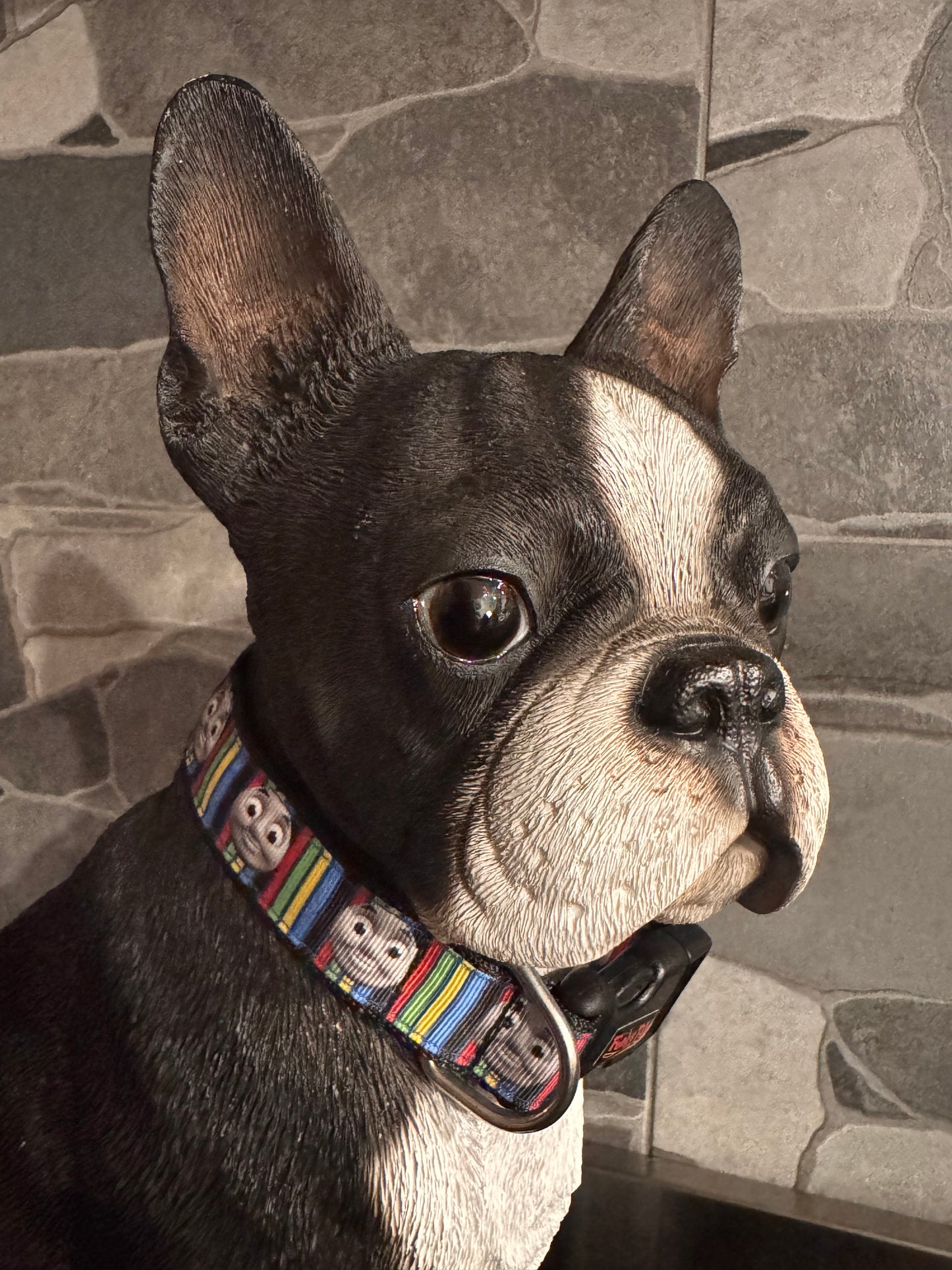 Collars Aussie