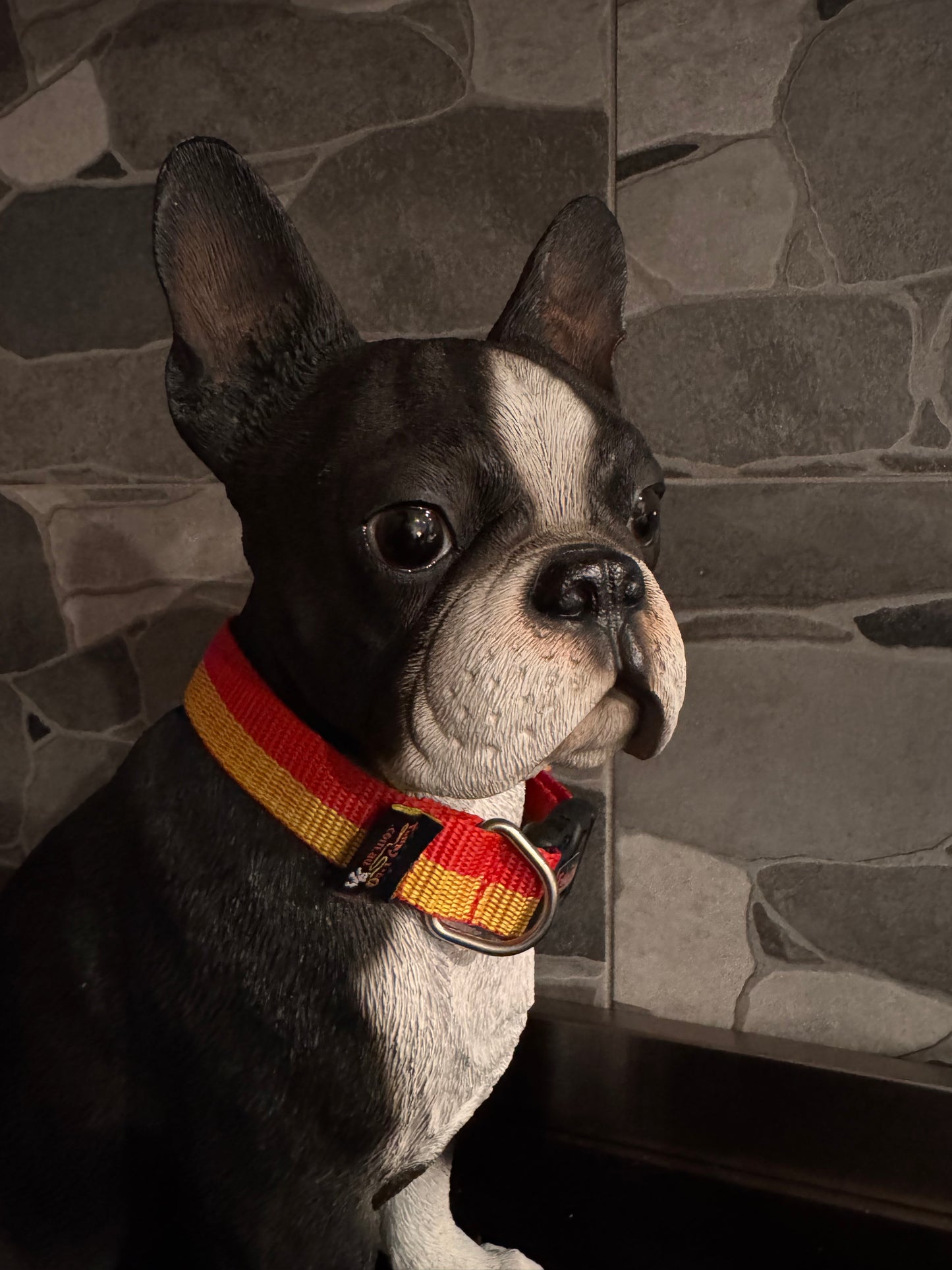 Collars Aussie