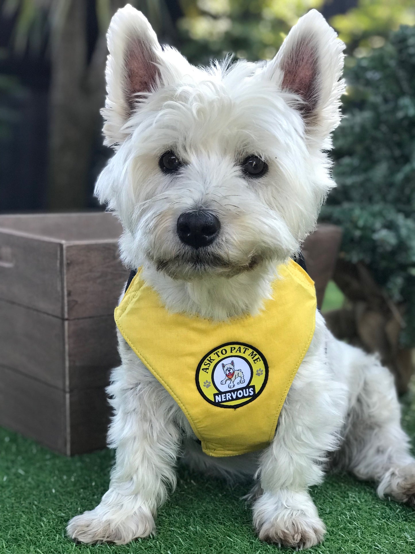 Alert Harness