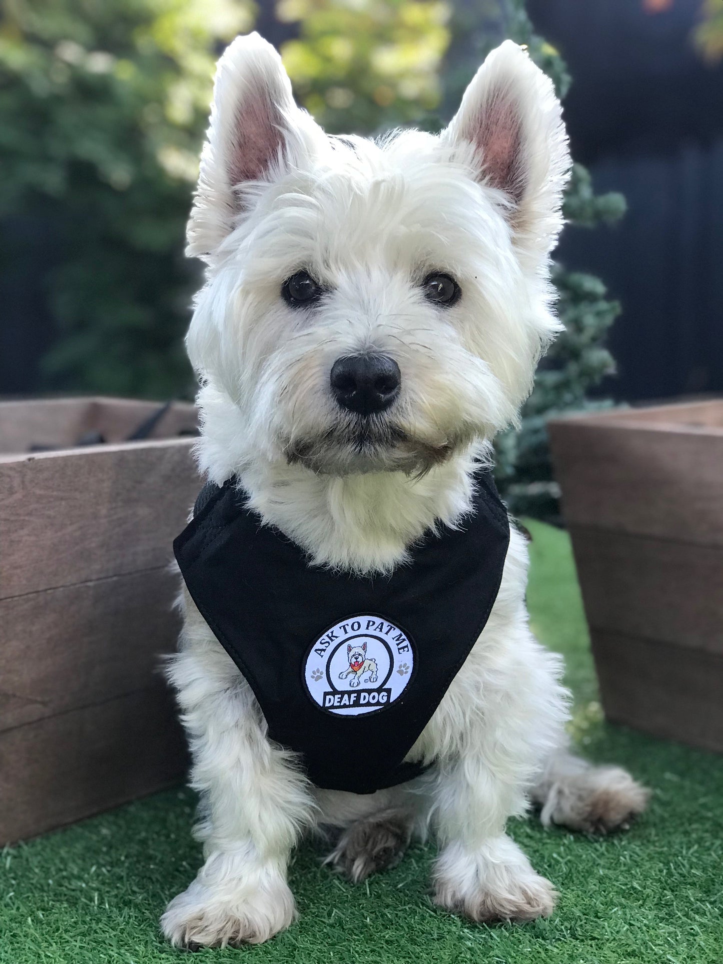 Alert Harness