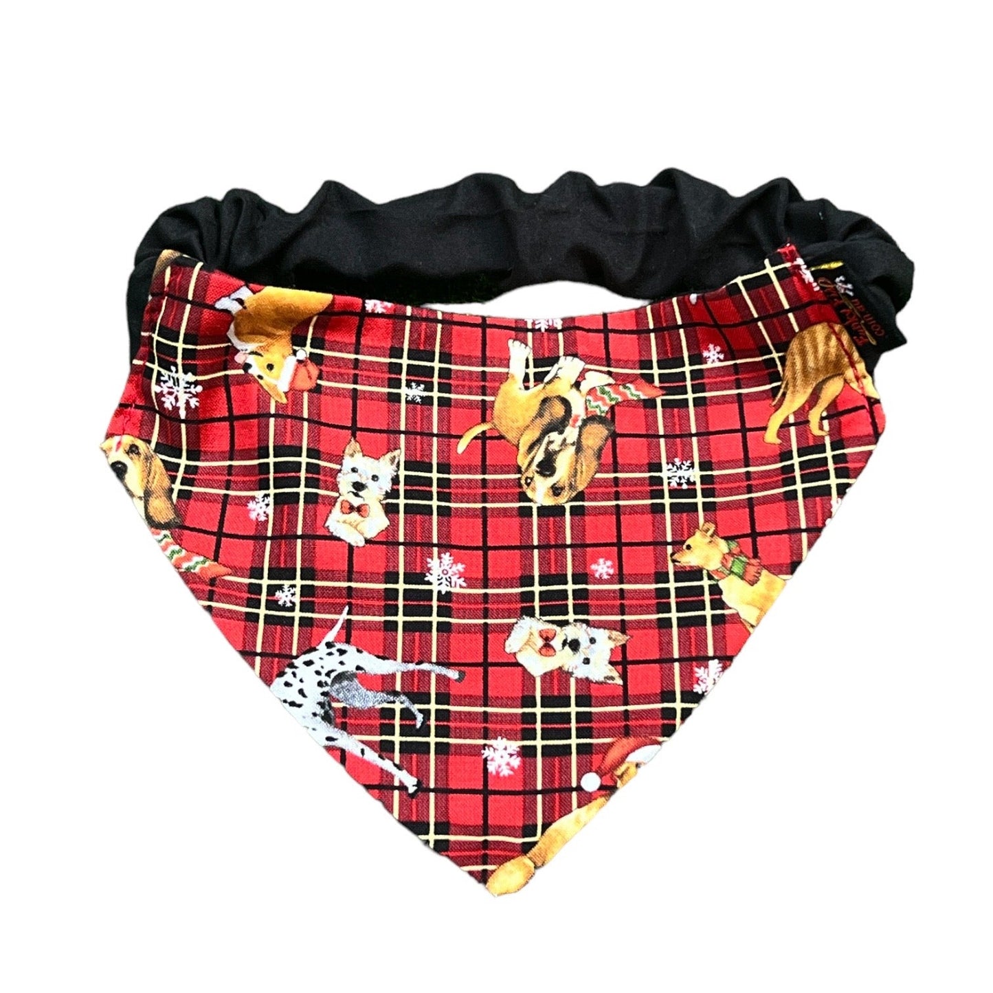 Doggy 'danas TARTAN