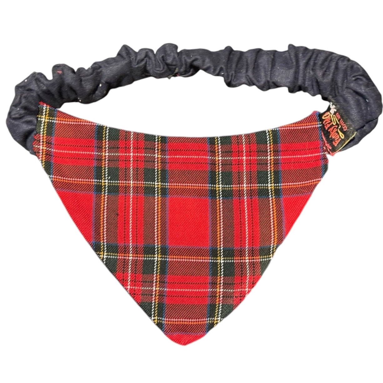 Doggy 'danas TARTAN