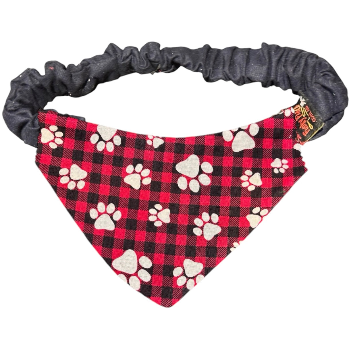 Doggy 'danas TARTAN