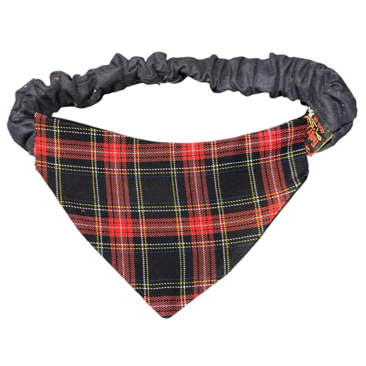 Doggy 'danas TARTAN
