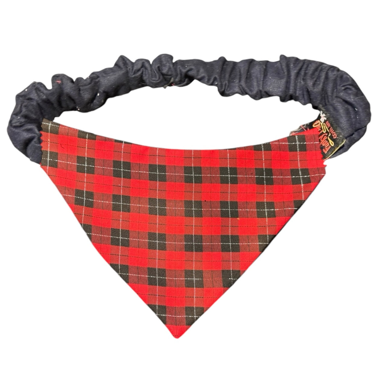 Doggy 'danas TARTAN