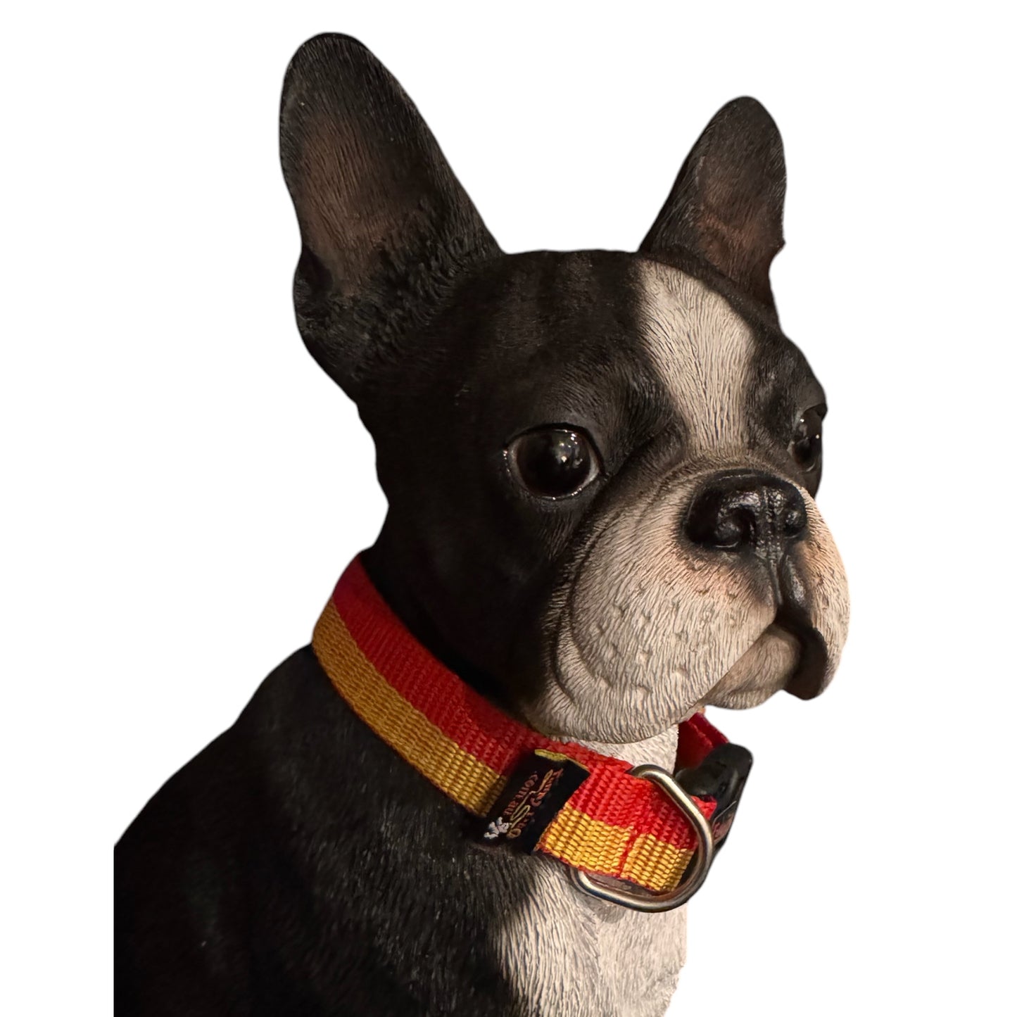 Collars Aussie