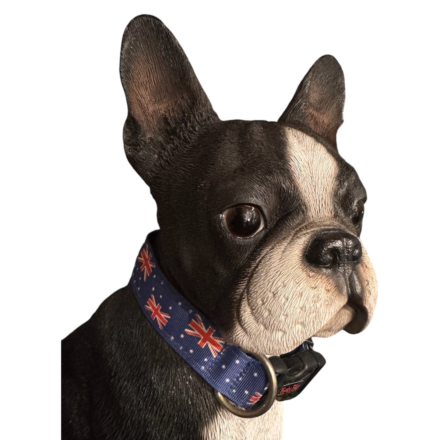 Collars Aussie
