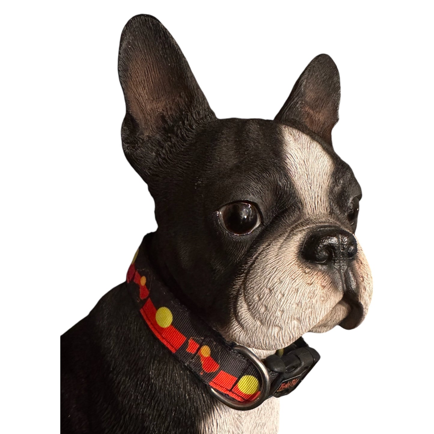 Collars Aussie