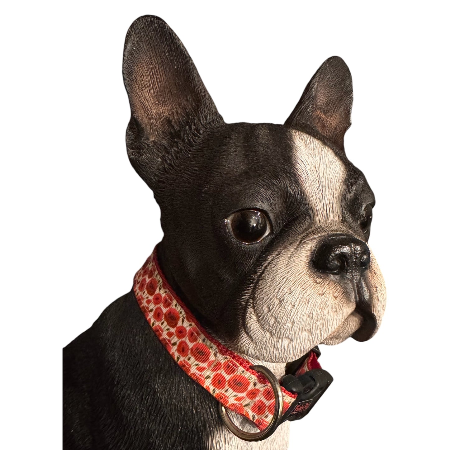 Collars Aussie