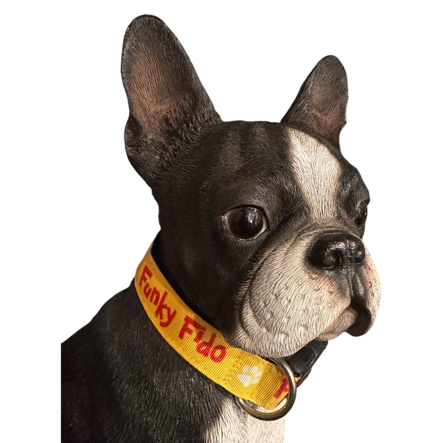 Collars Aussie