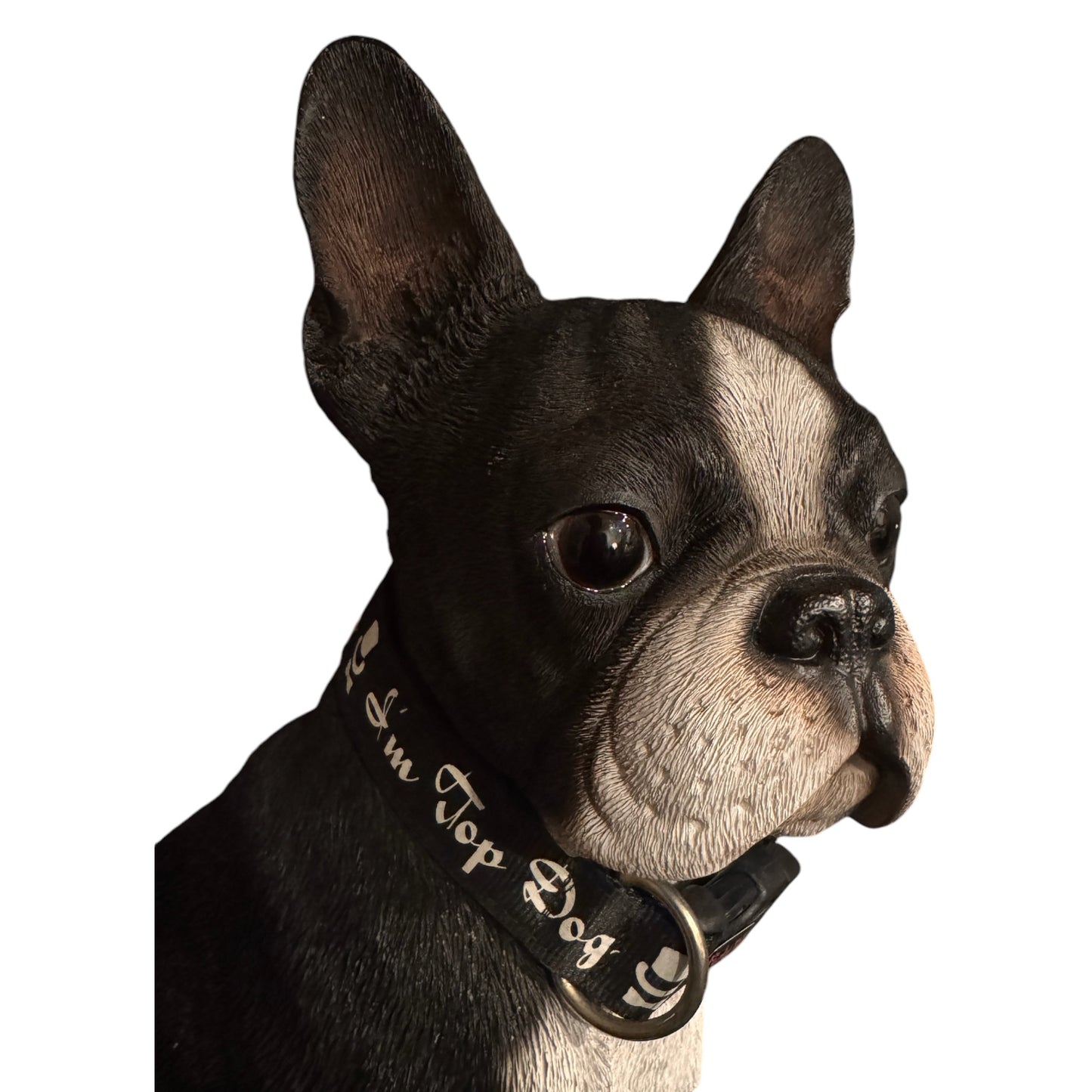 Collars