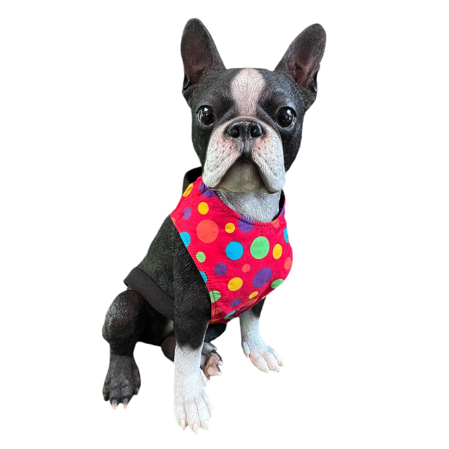 Harness Love & Rainbows