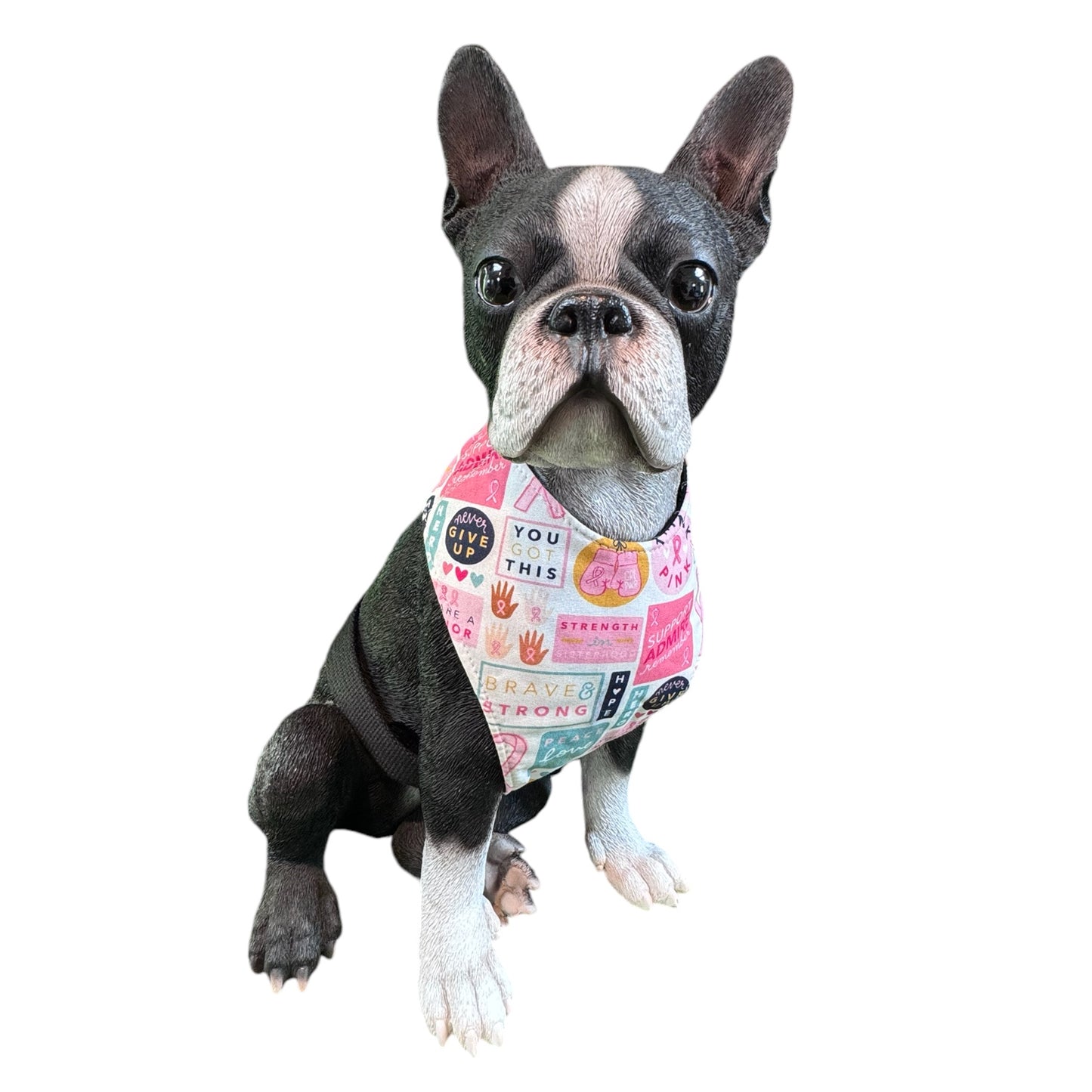 Pink Ribbon Harnesses