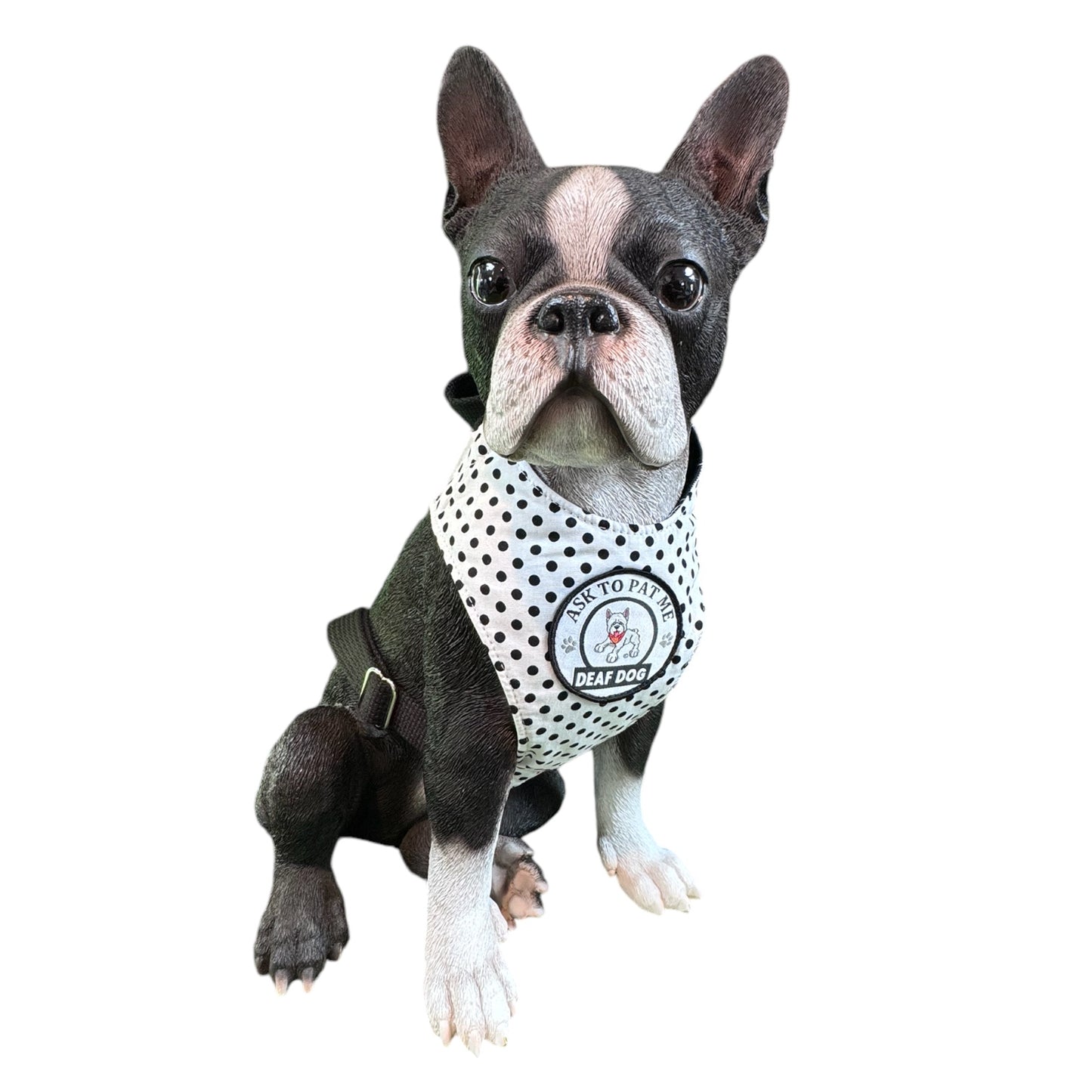 Alert Harness