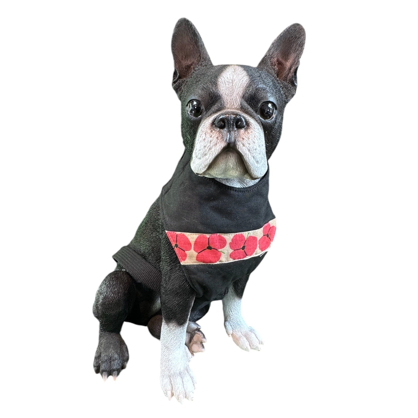 Harness Poppy Remembrance