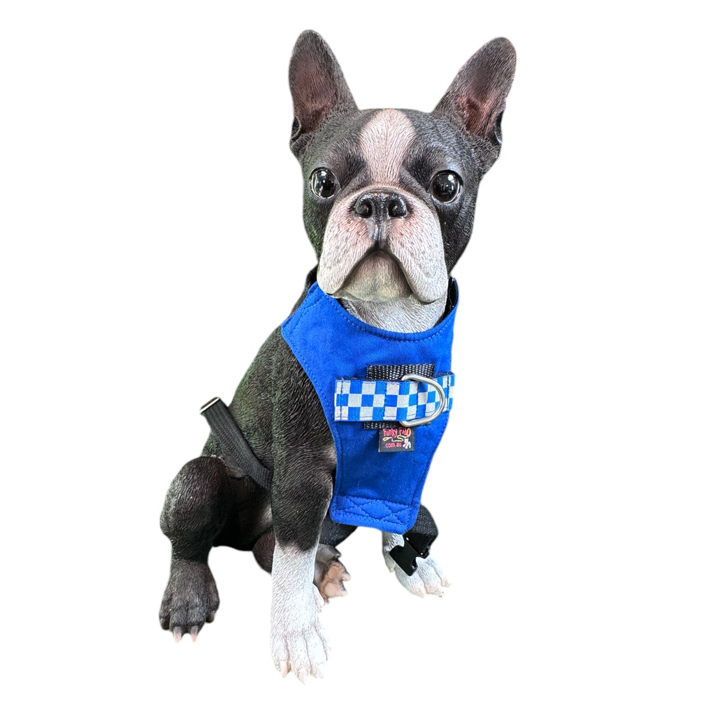 Harness Emergency Services