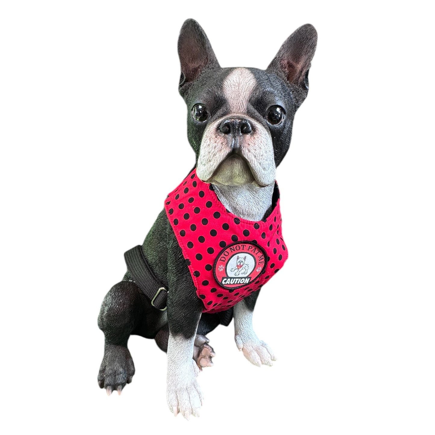 Alert Harness