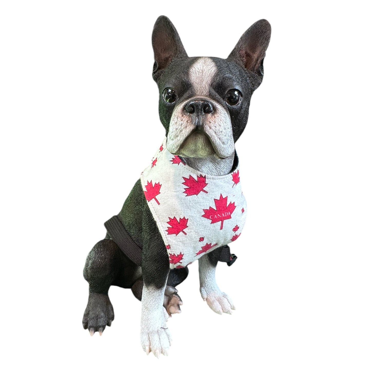 Harness Flags
