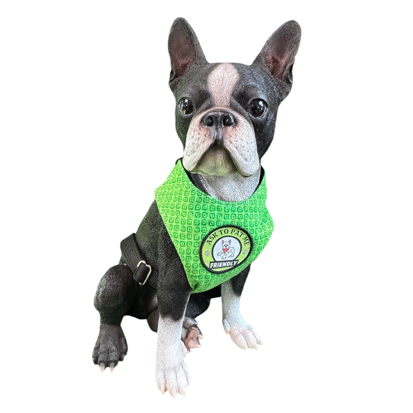 Alert Harness