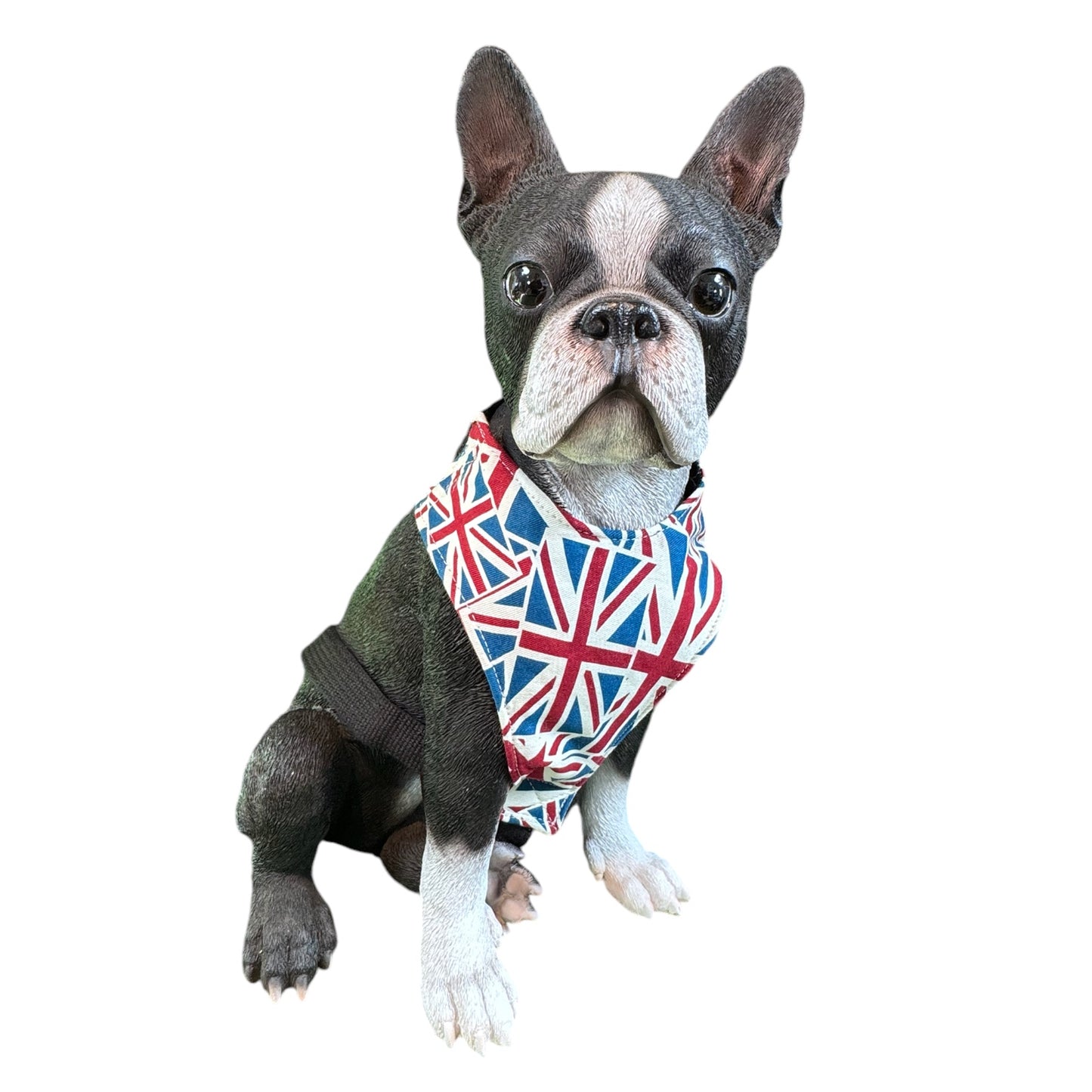 Harness Flags