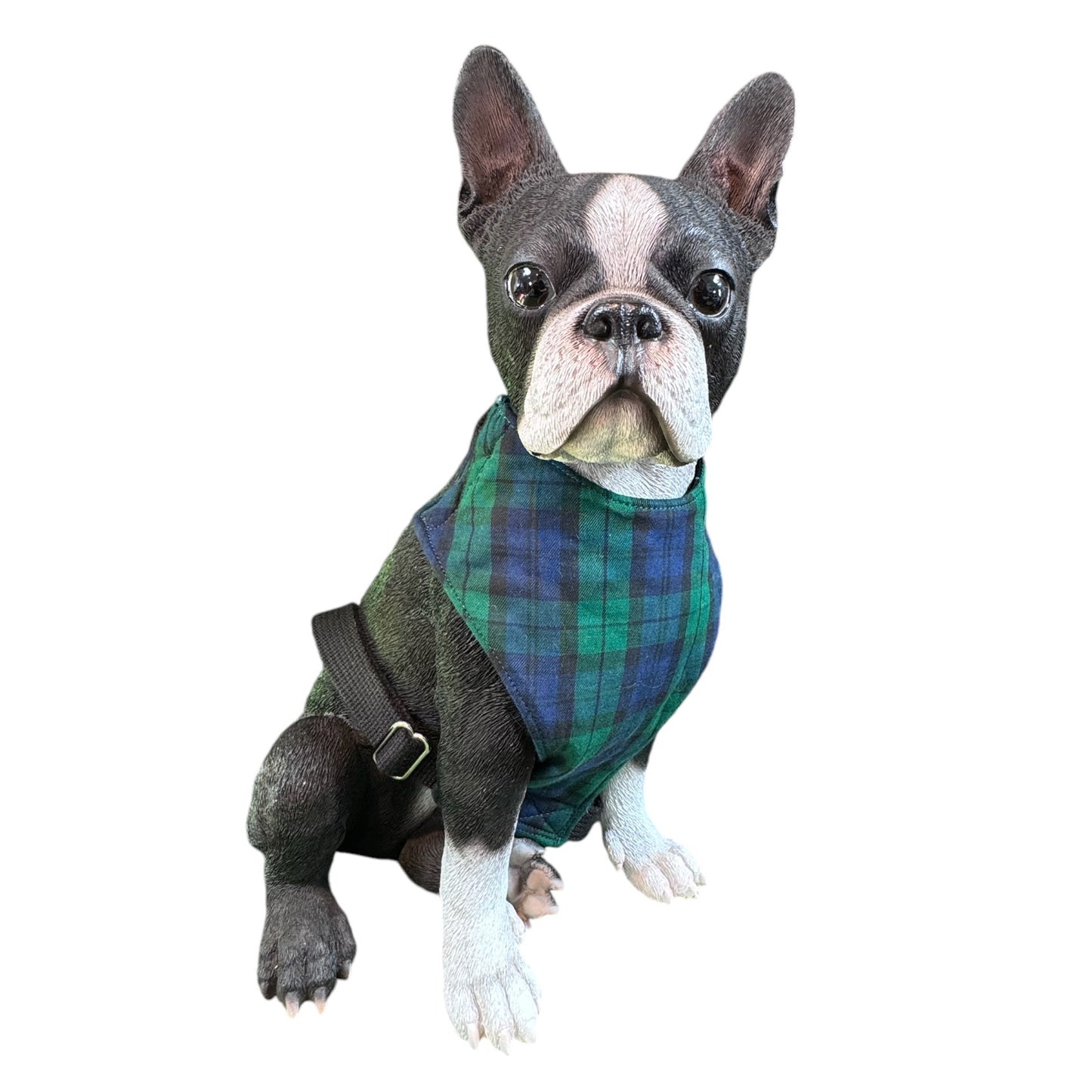 Harness Tartan