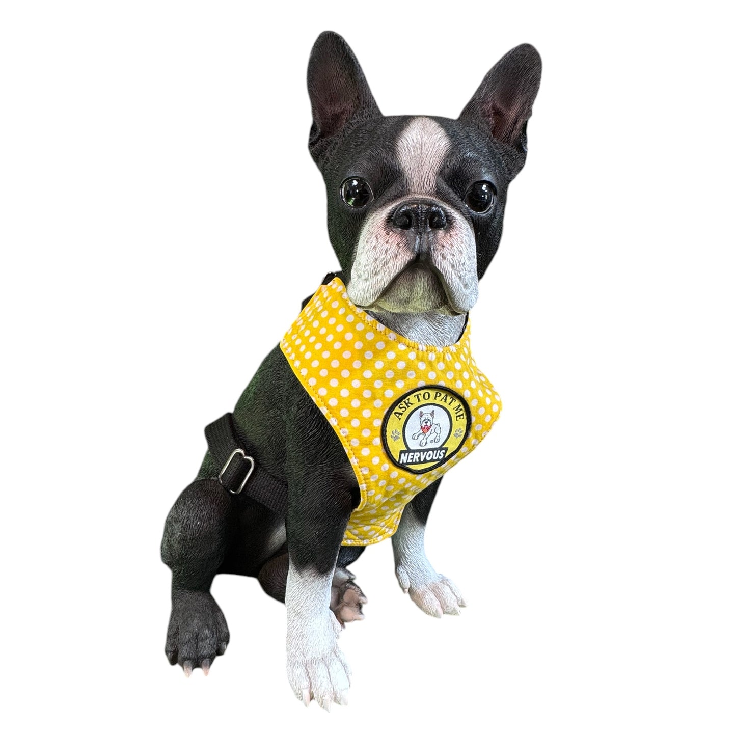 Alert Harness