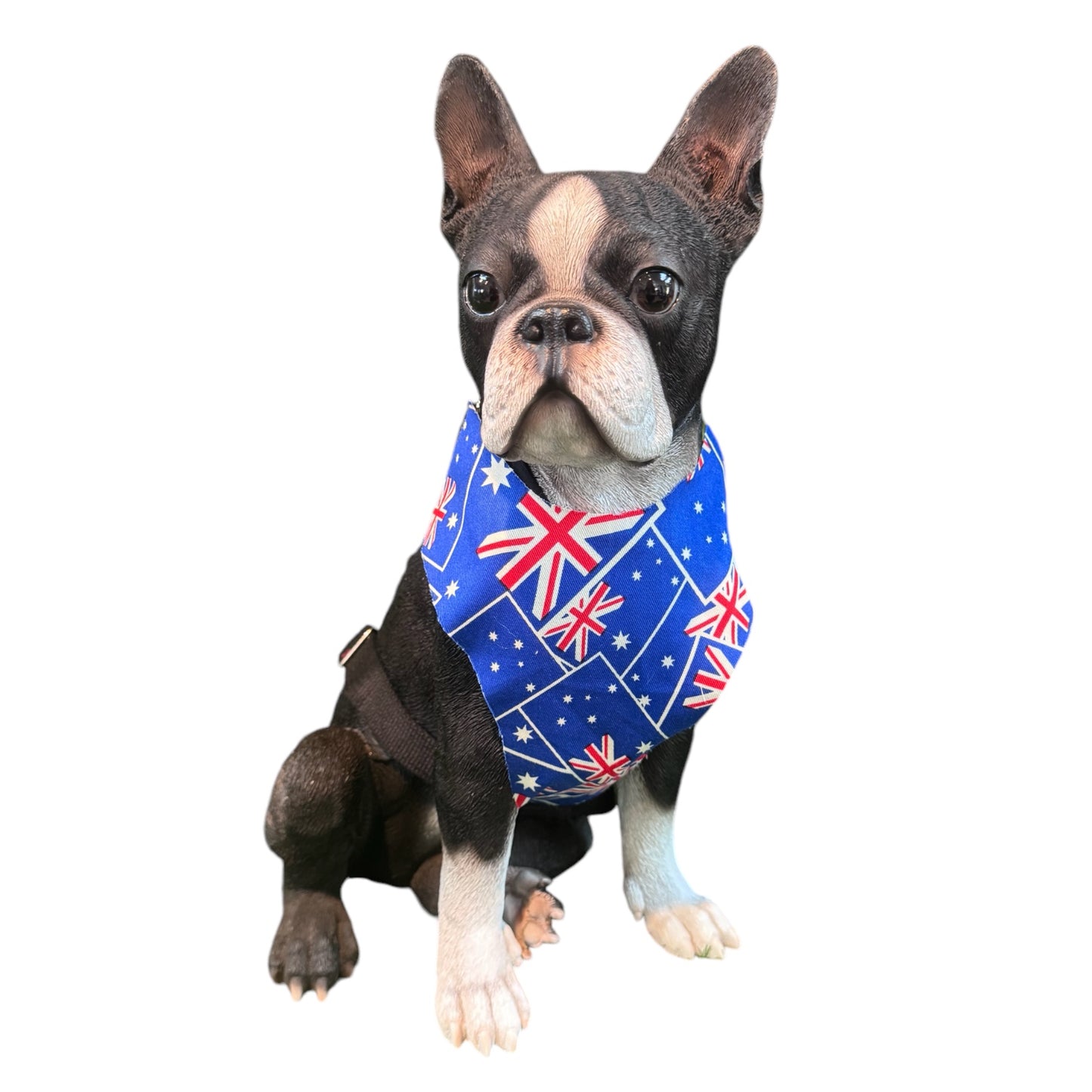 Harness Flags