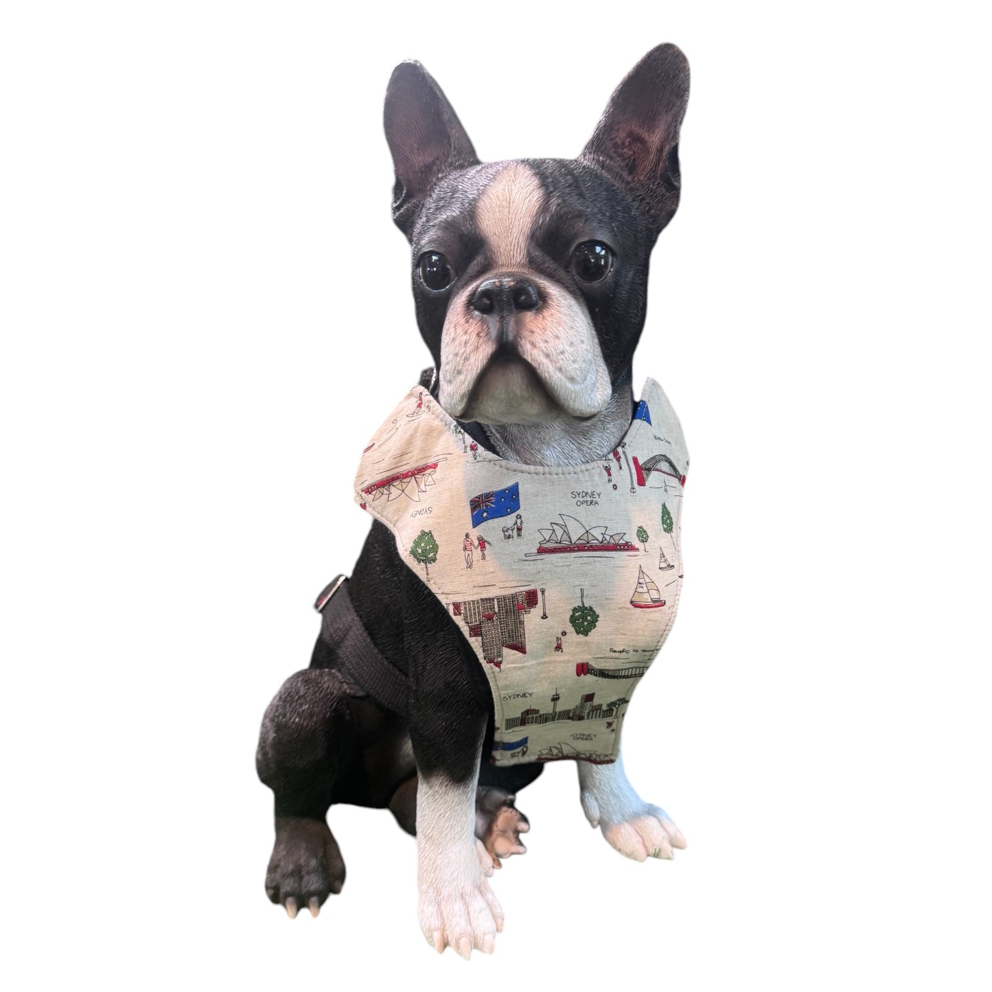 Harness Flags