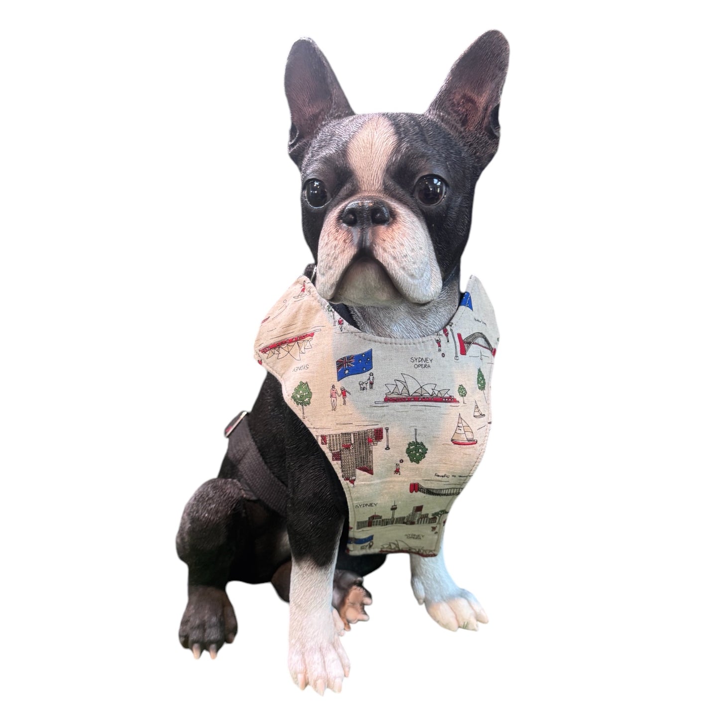 Harness Flags