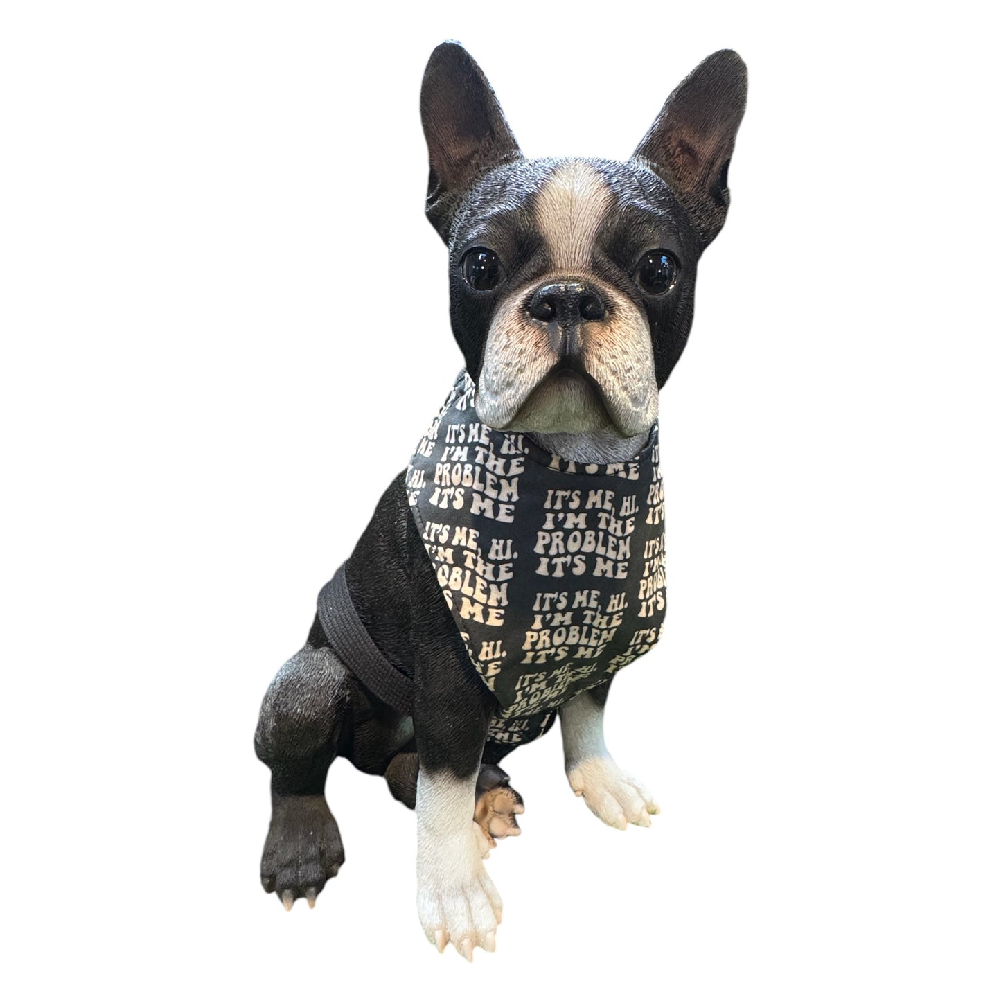 Harness TAYLOR SWIFT