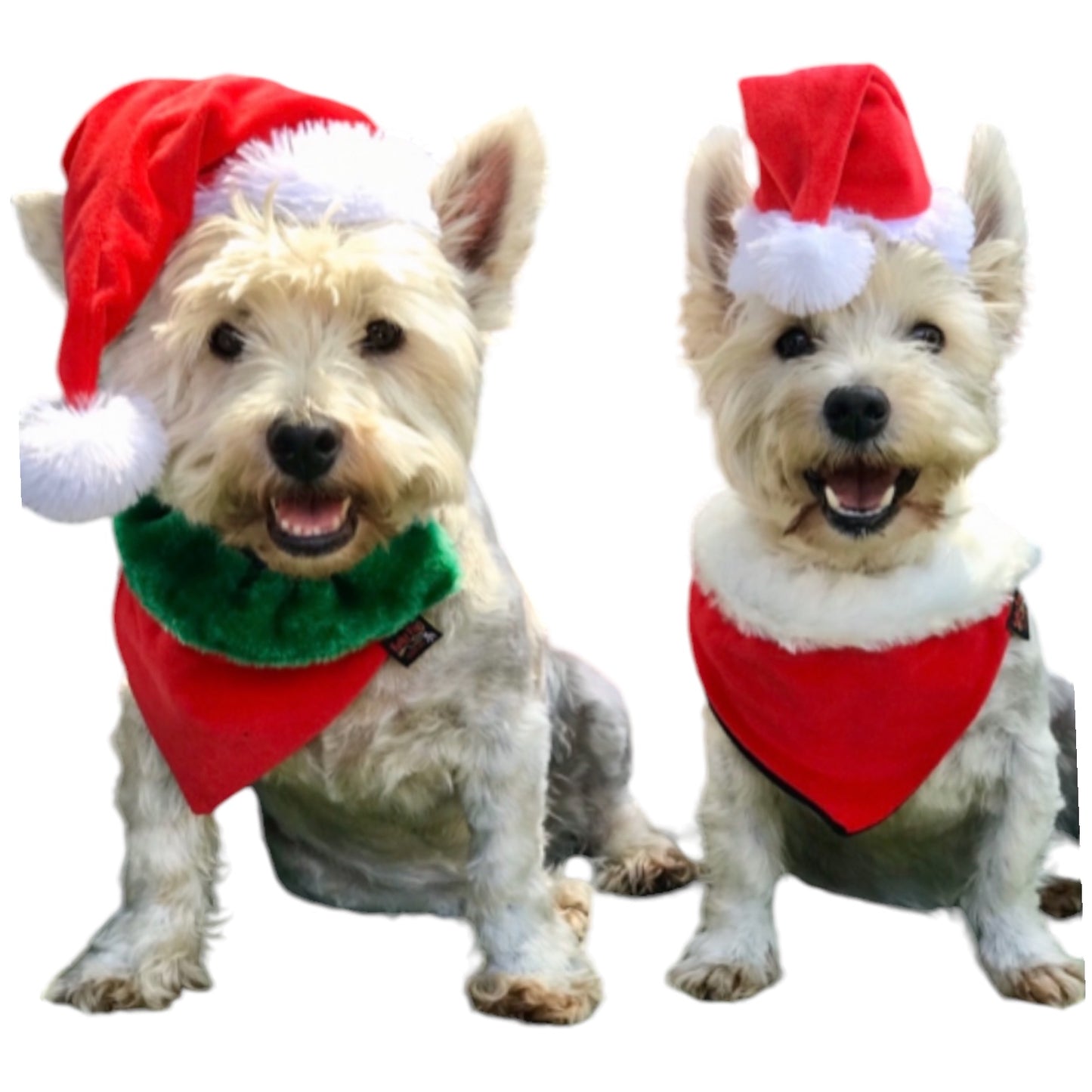 Christmas ‘danas VELVET FUR