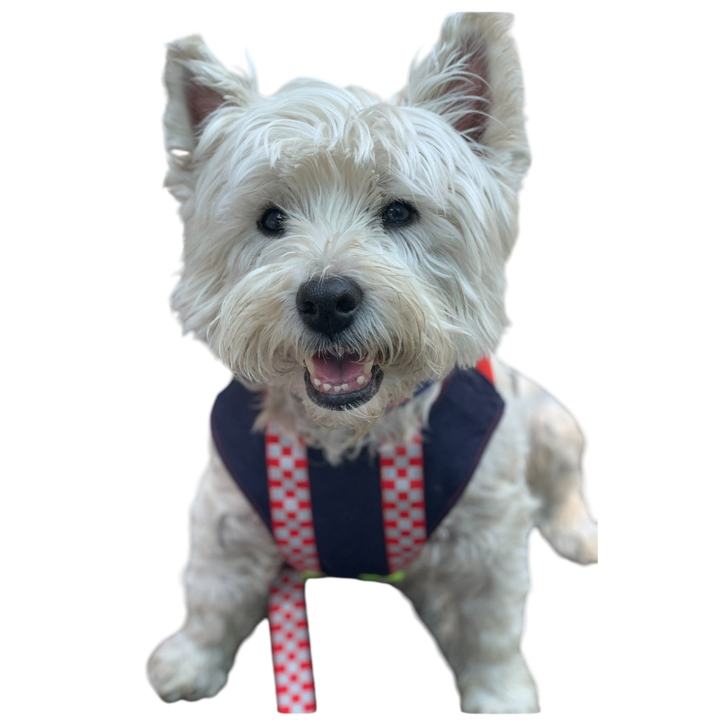 Harness Emergency Services