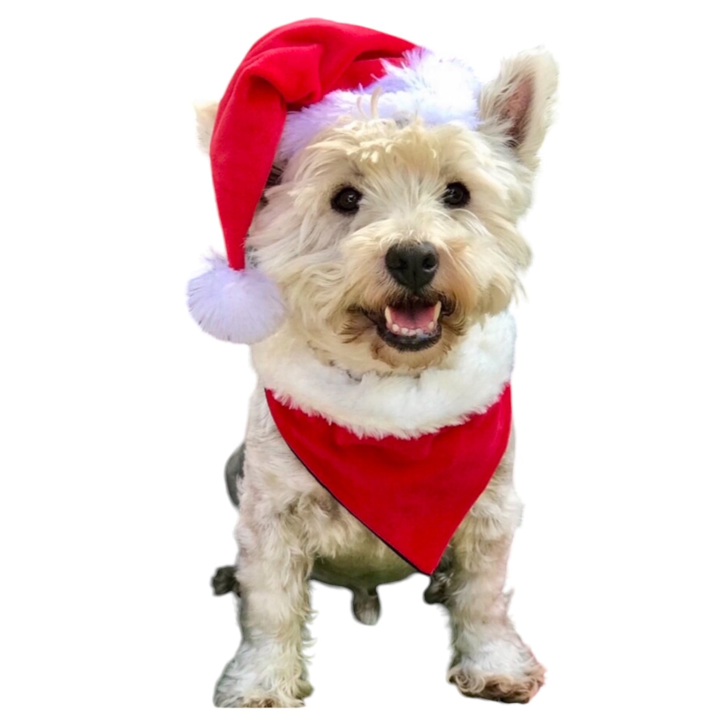 Christmas ‘danas VELVET FUR