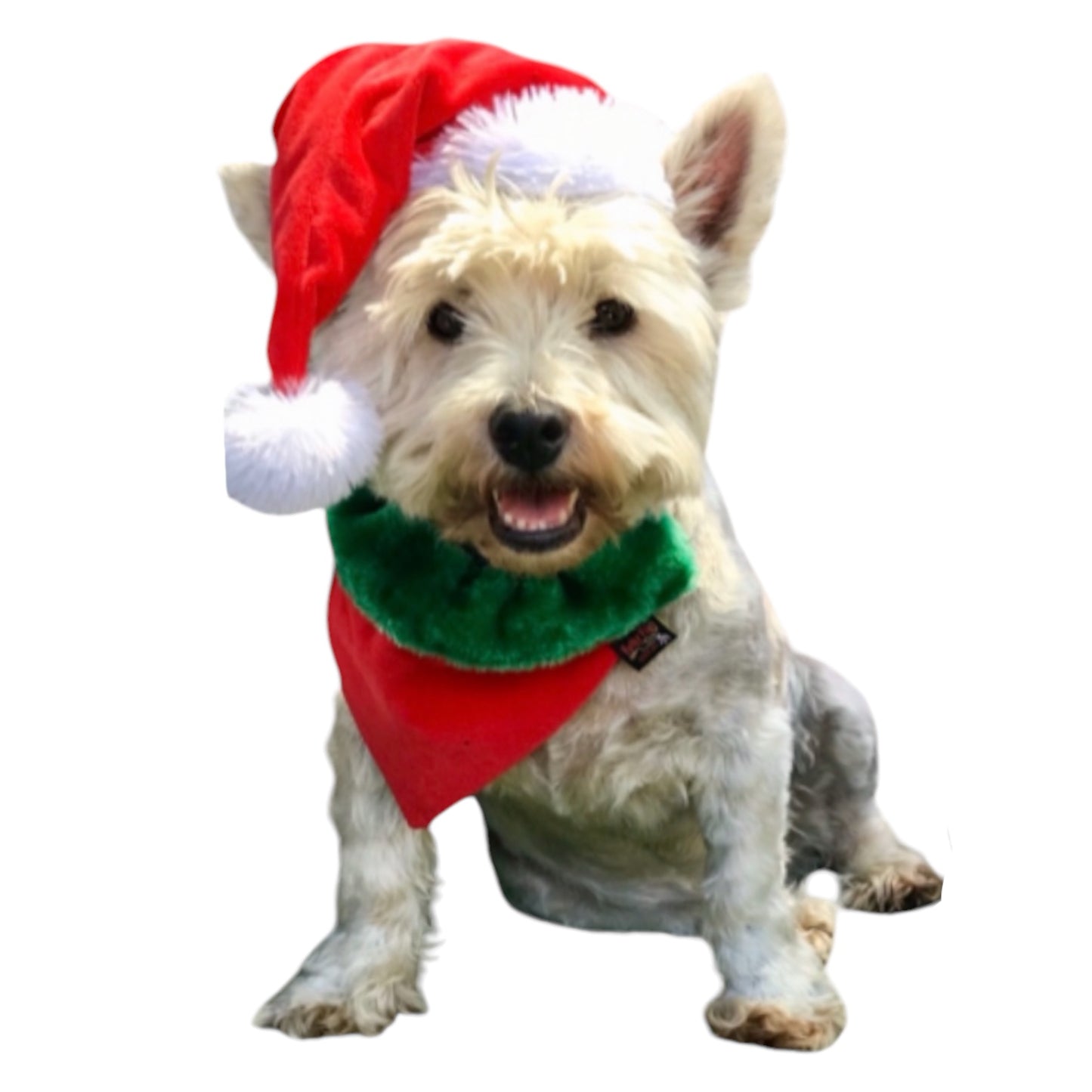 Christmas ‘danas VELVET FUR