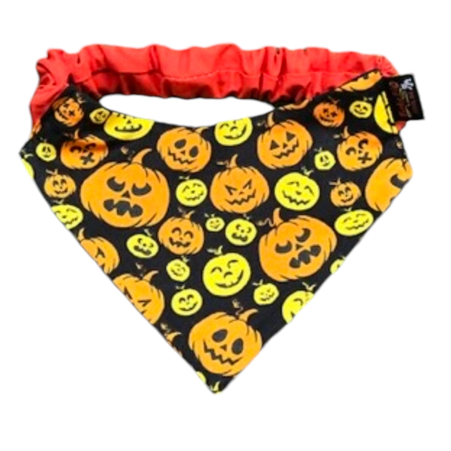 Doggy ‘Dana’s HALLOWEEN