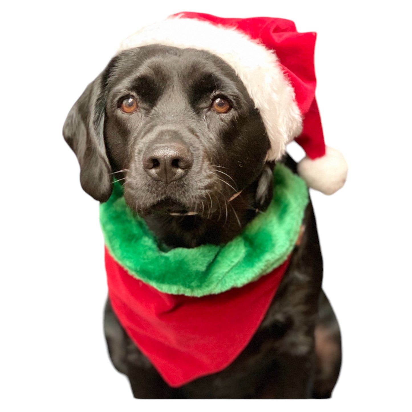 Christmas ‘danas VELVET FUR
