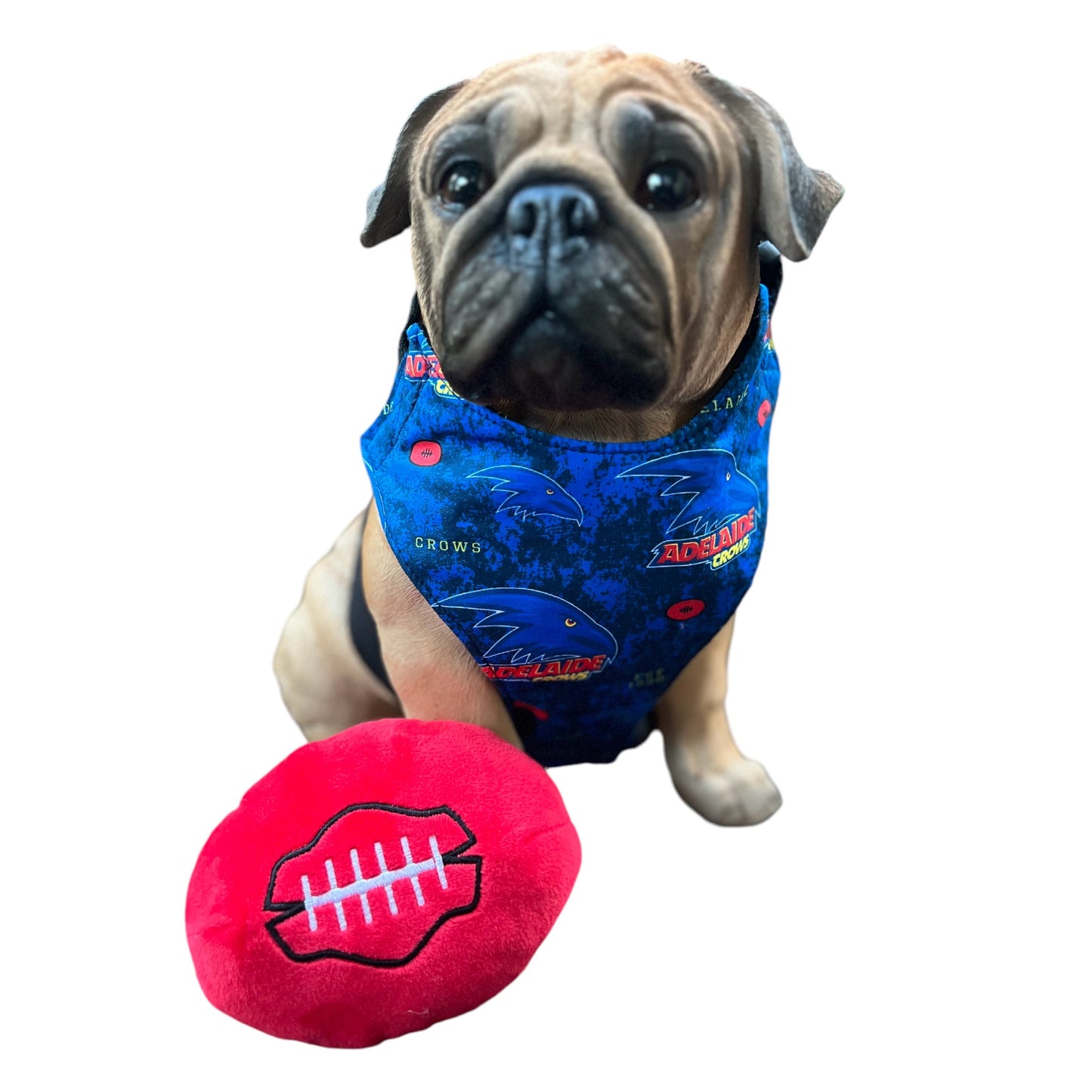 AFL Team Harnesses