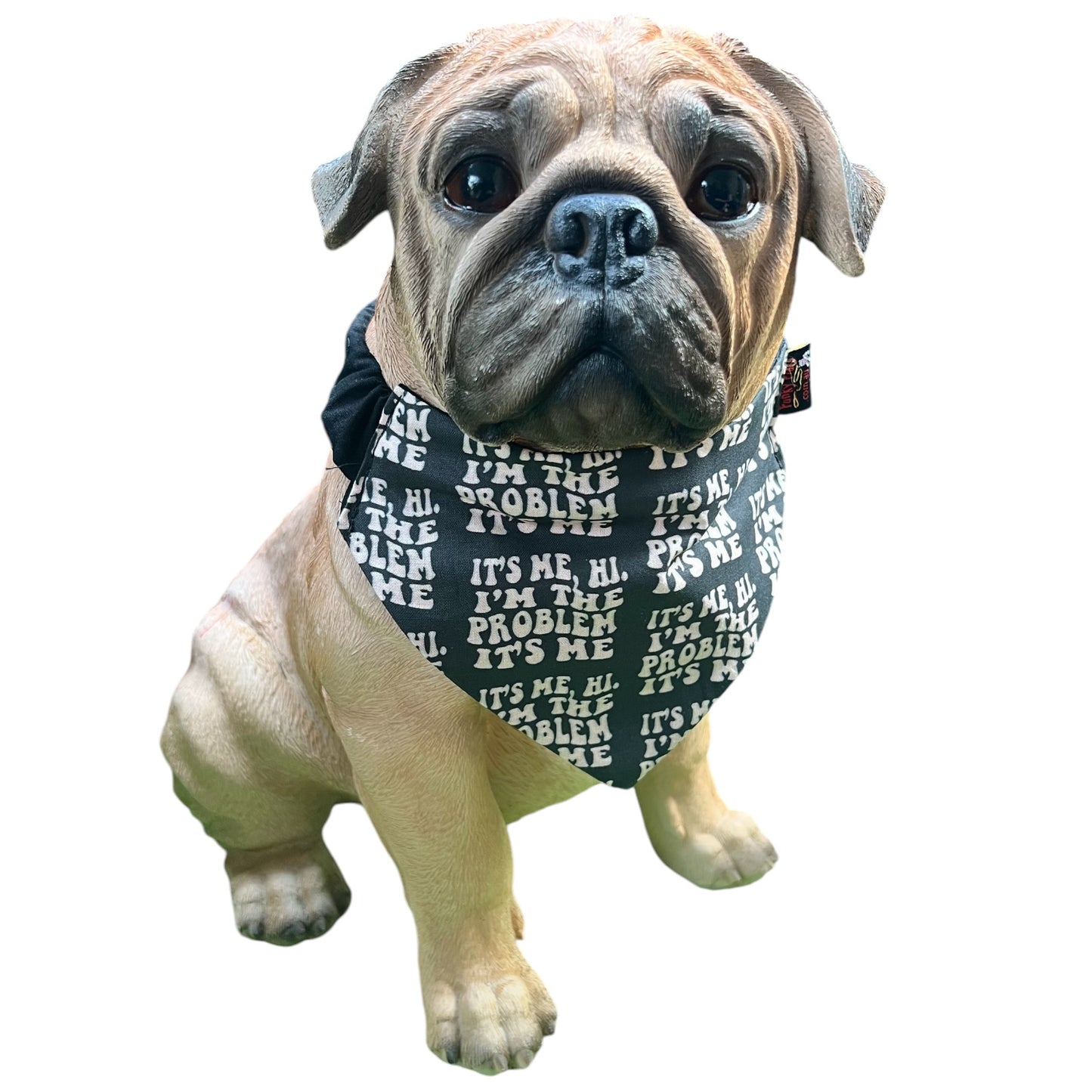 Doggy 'danas TAYLOR SWIFT