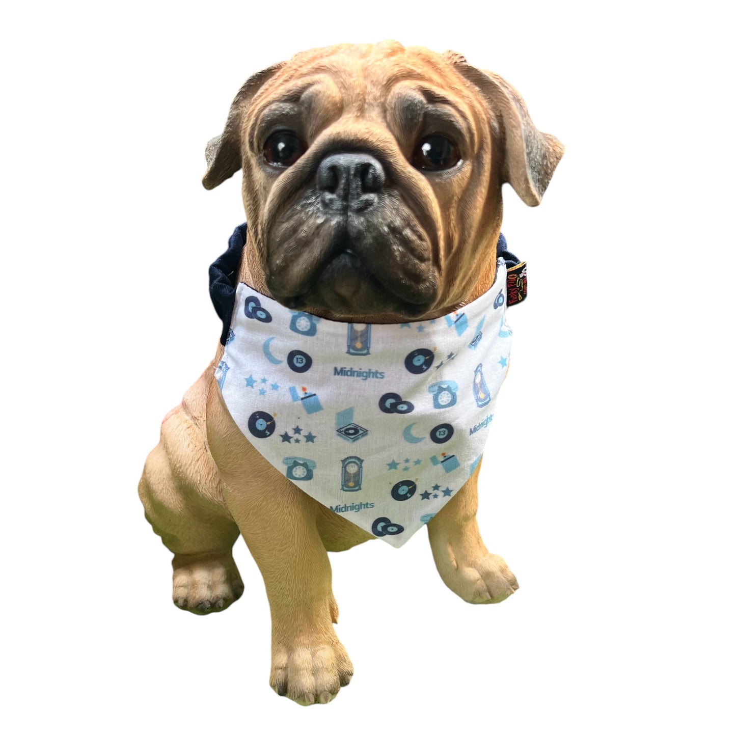 Doggy 'danas TAYLOR SWIFT